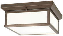  6919-281 - 2 Light Flush Mount