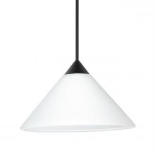  XP-117607-BK - Besa Pendant Kona, Black Finish, White 1x50W MAX GY6.35 Base