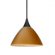  XP-1743OK-BK - Besa Pendant Domi, Black Finish, Oak 1x50W MAX GY6.35 Base