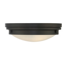  6-3350-14-13 - Lucerne 2-Light Ceiling Light in English Bronze