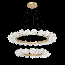 Hammerton CHB0059-2B-BB-BC-CA1-L1 - Blossom Two-Tier Ring