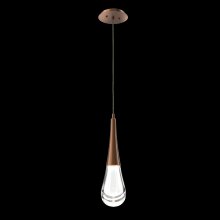 Hammerton LAB0078-01-BB-C-C01-L1 - Raindrop Pendant