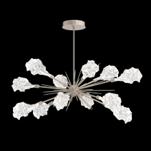  PLB0059-0A-HB-BC-001-L1 - Blossom Oval Starburst - 0A 30"