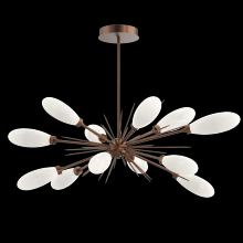  PLB0071-0A-BB-WL-001-L3 - Fiori Oval Starburst Chandelier 50"