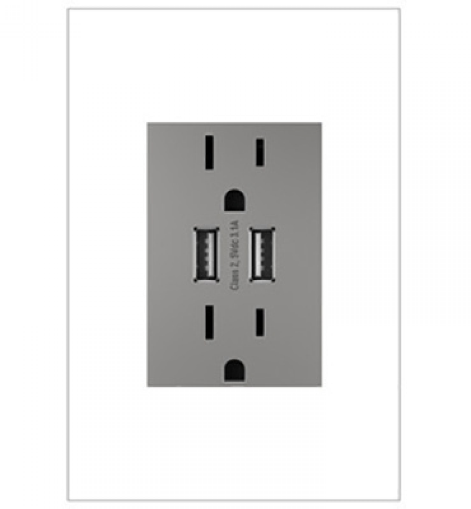 Adorne® Dual-USB Outlet , Magnesium