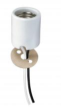 Satco Products Inc. 80/1877 - Keyless Porcelain Socket With Paper Liner; Mounting Screws Held Captive; 2 Wireways; 48&#34; Leads