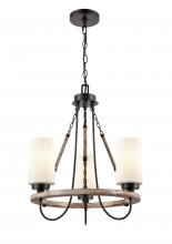  442-3CR-BK-G4421-LED - Paladin - 3 Light - 19 inch - Matte Black - Chain Hung - Mini Chandelier