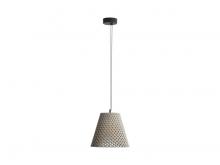  2419-14 GCT - Clarus - 14" LED Pendant