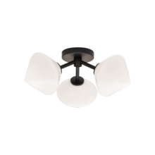  X81743BKOP - Novo Ceiling Mount