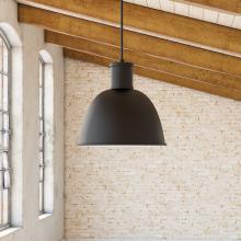  493516-BK - Irving 16-in Black 1 Light Pendant