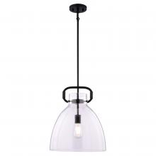  P0432 - Madrona 14-in. W Pendant Black