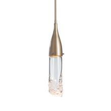 Hubbardton Forge 188900-SKT-MULT-84-ZM0617 - Fritz Mini Pendant