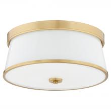  3203-16-80 - Weir 16 inches Ceiling Mount, Aged Brass