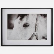  41463 - Eye Of The Beholder Framed Print