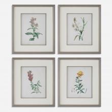  32285 - Heirloom Blooms Study Framed Prints Set/4