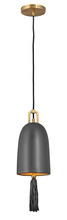  30107HBR - Small Pendant