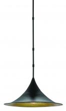  9000-0410 - Aberfoyle Black Pendant